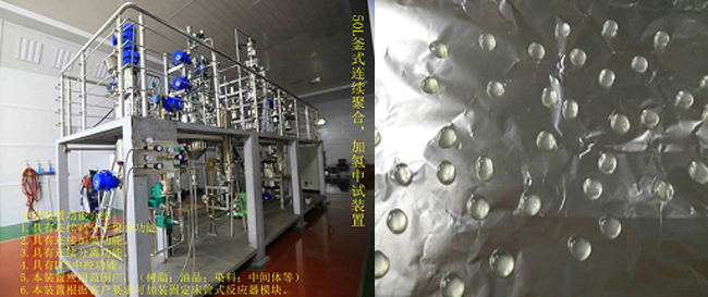祝賀國內(nèi)首套釜式連續(xù)加氫中試成套裝置一次出料成功！.jpg